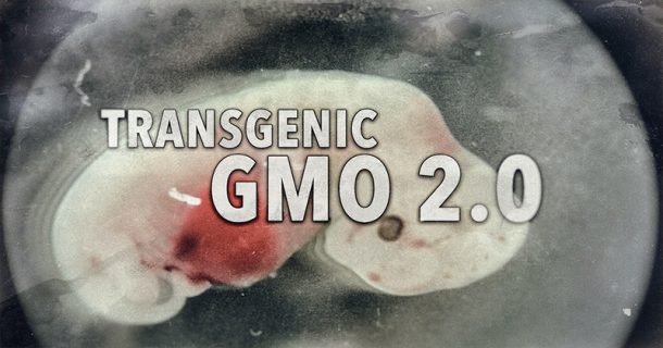 GMO2.0