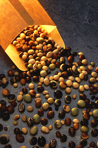 Soy Bean Varieties