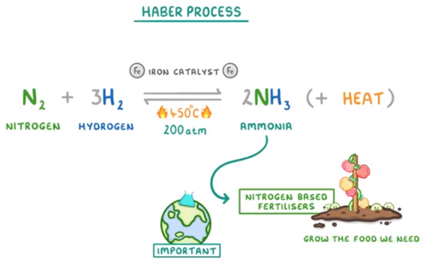 Haber Process and Fertilizer Food
